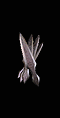 Deathbit 180% ED