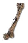Diablo 4 Eternal Blackened Femur
