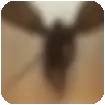 diablo 2 resurrected logo