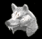 D2R Ladder Cerebus' Bite 4 Shape Shifting