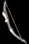 D2R M'avina's Caster